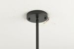 Modern American style chandelier-black-glass lampshade -5 bulbs