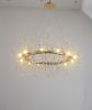 Modern American round crystal chandelier -12 bulbs